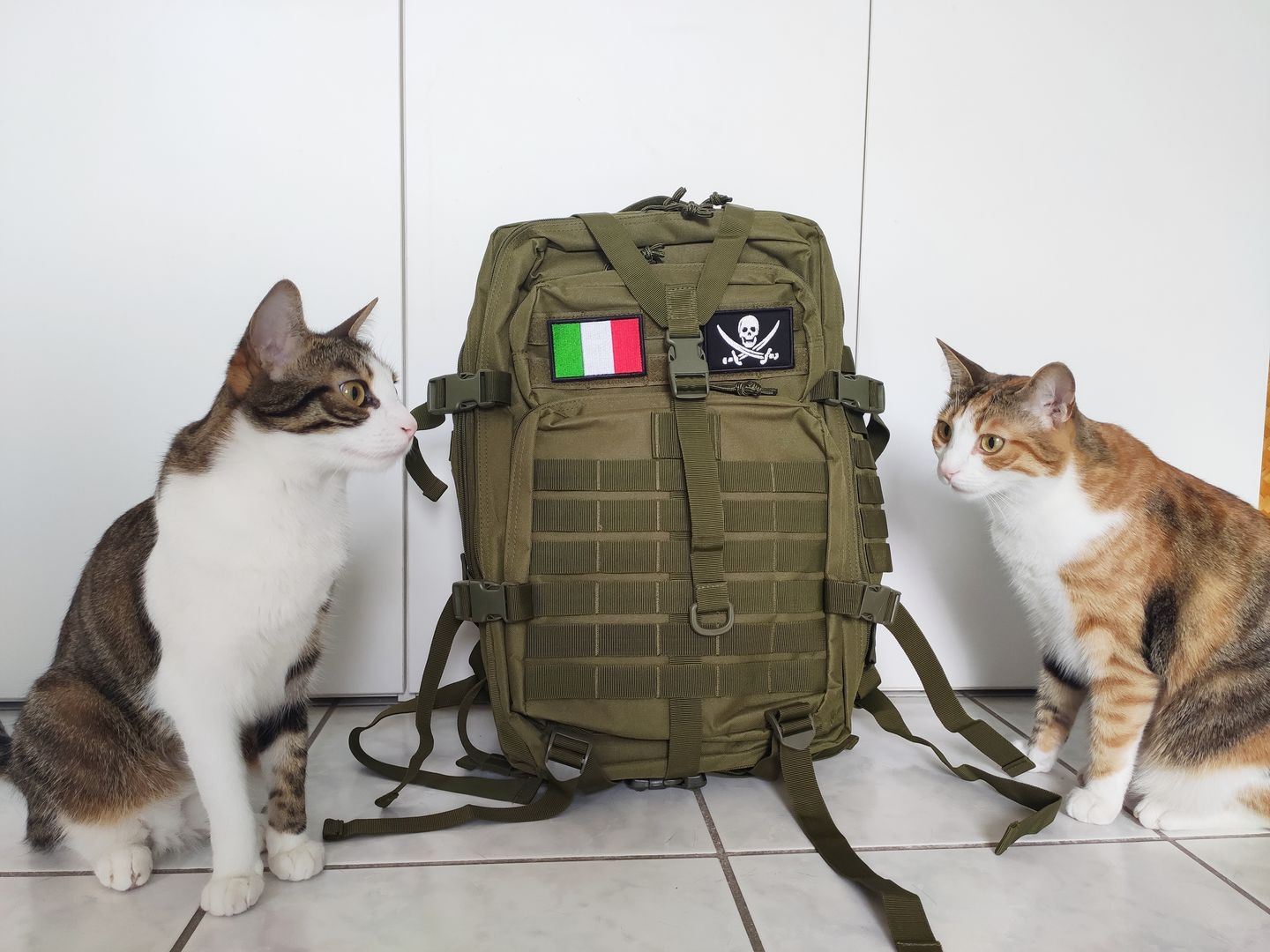 urban wanted backpack